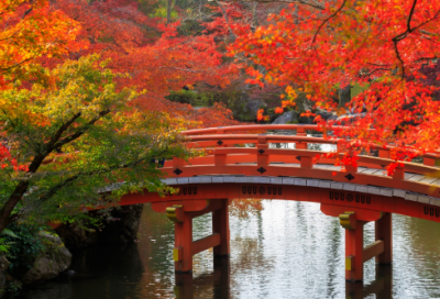 ​题目造句,用题目怎么造句