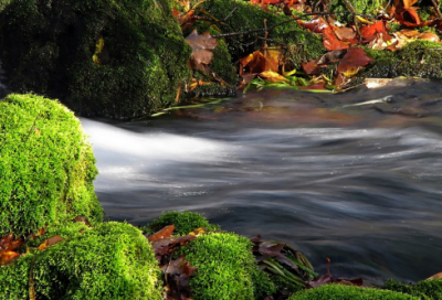 ​霎造句,用霎怎么造句