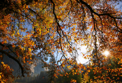 ​盖住造句,用盖住怎么造句