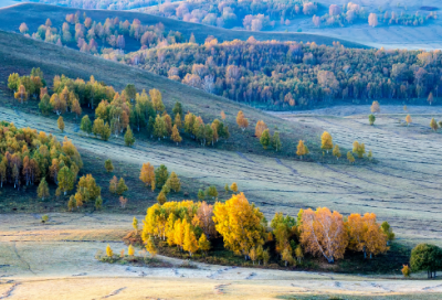 ​凝视着造句,用凝视着怎么造句