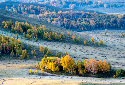 1693348963519764.png image.png