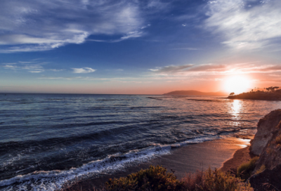 ​囚造句,用囚怎么造句