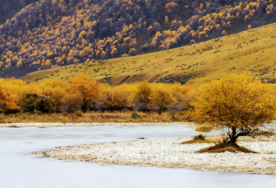 ​当在造句,用当在怎么造句