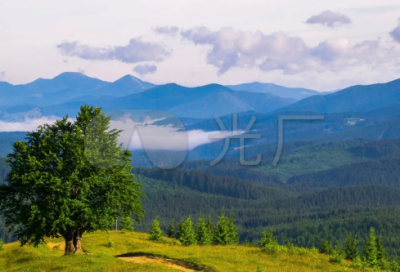 ​栖造句,用栖怎么造句