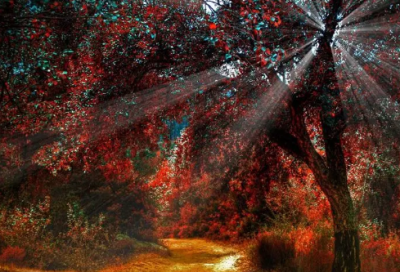 ​得意造句,用得意怎么造句