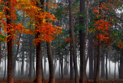 ​和煦造句,用和煦怎么造句
