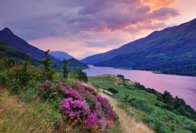 ​待到造句,用待到怎么造句