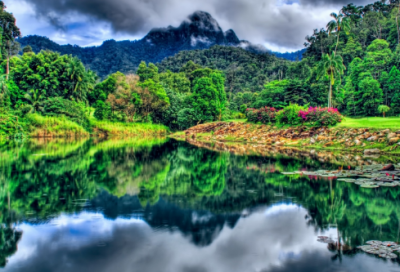 ​无能为力造句,用无能为力怎么造句