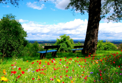 ​微波造句,用微波怎么造句