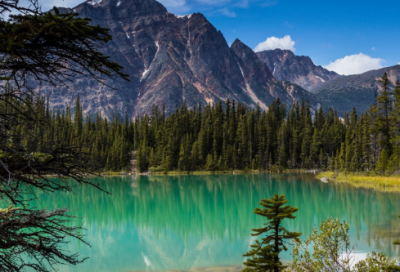 ​载歌载舞造句,用载歌载舞怎么造句