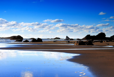 ​玉立造句,用玉立怎么造句