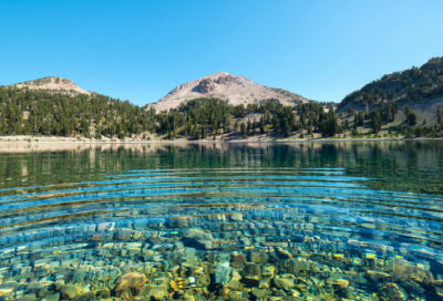 ​长舌妇造句,用长舌妇怎么造句