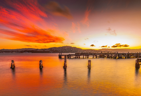 1693356593550715.png image.png