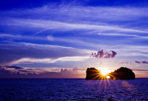 1693356924818013.png image.png