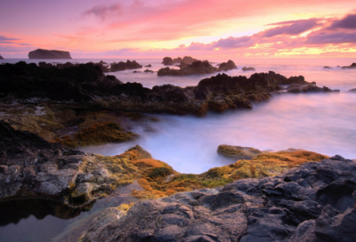 ​隐君子造句,用隐君子怎么造句