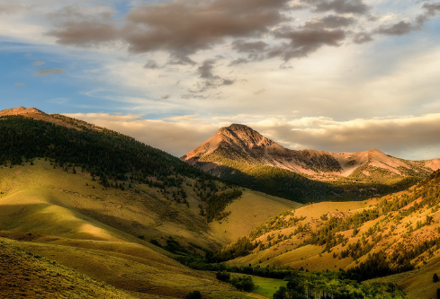 1693357587913623.png image.png