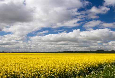 1693357753419290.png image.png