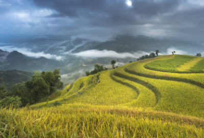 ​邀请造句,用邀请怎么造句