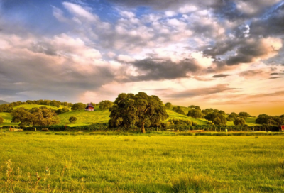 ​张造句,用张怎么造句