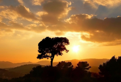 ​显而易见造句,用显而易见怎么造句