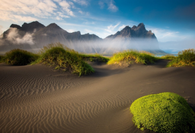 ​品德造句,用品德怎么造句