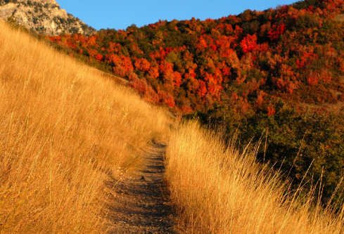 1693360572517235.png image.png