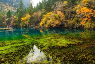 ​清凉造句,用清凉怎么造句