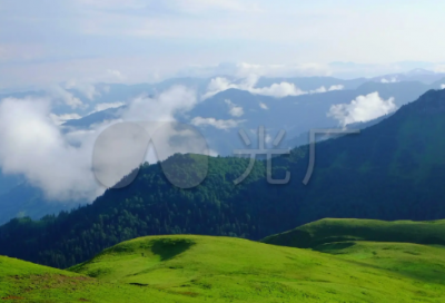 ​绽造句,用绽怎么造句