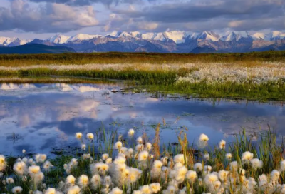 ​昭造句,用昭怎么造句