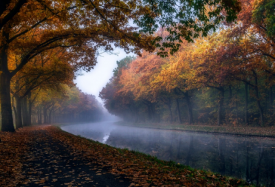 ​喧闹造句,用喧闹怎么造句