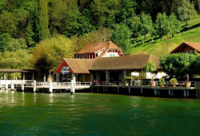 ​驯造句,用驯怎么造句