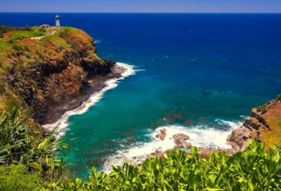 ​池中造句,用池中怎么造句