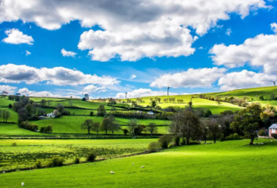 ​诈造句,用诈怎么造句