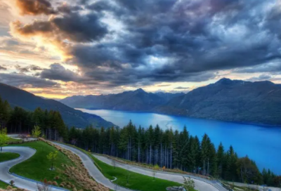 ​鸠造句,用鸠怎么造句