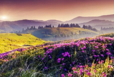 ​不可思议造句,用不可思议怎么造句