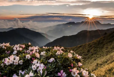 ​一团糟造句,用一团糟怎么造句