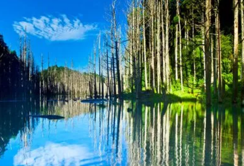 1693368865215098.png image.png