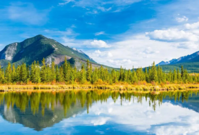 ​园丁造句,用园丁怎么造句