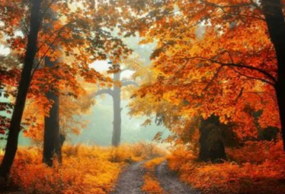 ​淘气造句,用淘气怎么造句