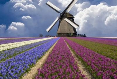 ​能干造句,用能干怎么造句