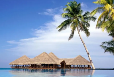 ​皆有造句,用皆有怎么造句