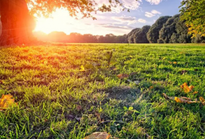 ​一字长蛇阵造句,用一字长蛇阵怎么造句