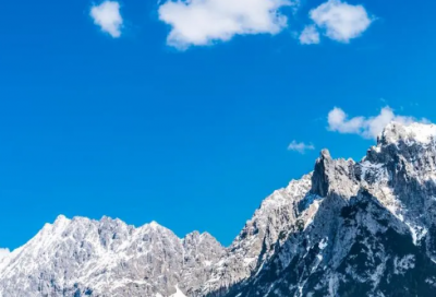 ​懦弱造句,用懦弱怎么造句