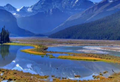 ​息息相关造句,用息息相关怎么造句