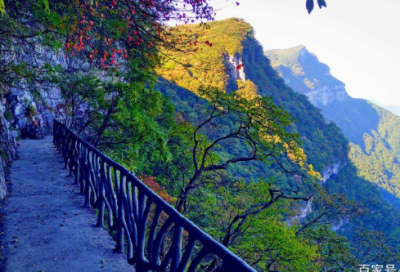 ​面面相觑造句,用面面相觑怎么造句