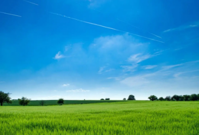 ​难忘造句,用难忘怎么造句