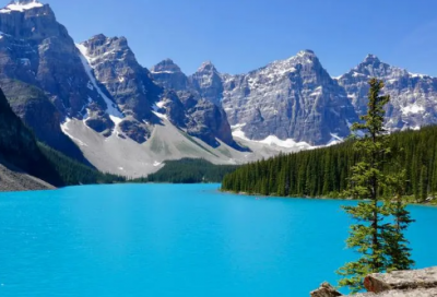 ​先锋造句,用先锋怎么造句