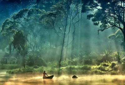 ​频造句,用频怎么造句