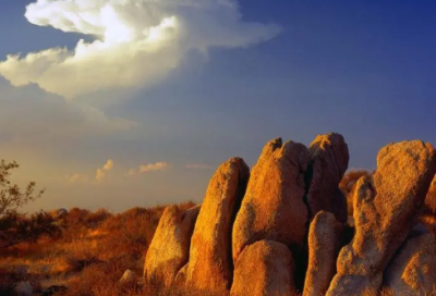 ​榛造句,用榛怎么造句