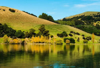 ​粟造句,用粟怎么造句